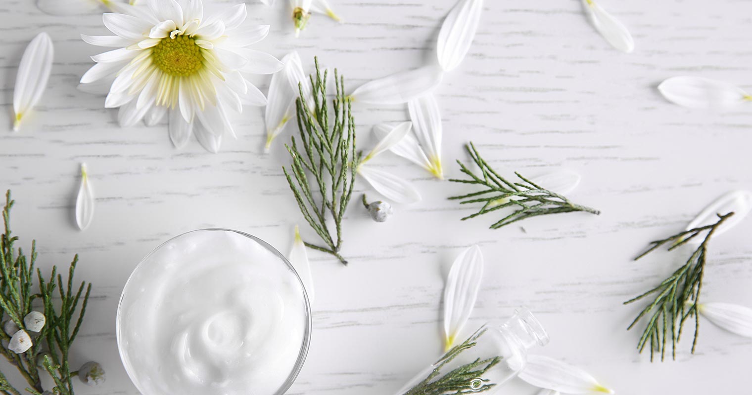 weiße Chrysanthemenblüte und Blütenblätter auf einem Tisch verstreut